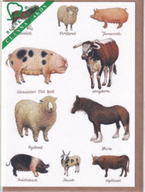 Kaart CC220 Rare Breeds