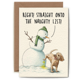 C41-01 Snowman List