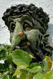 Groene Treebeard met bewoners