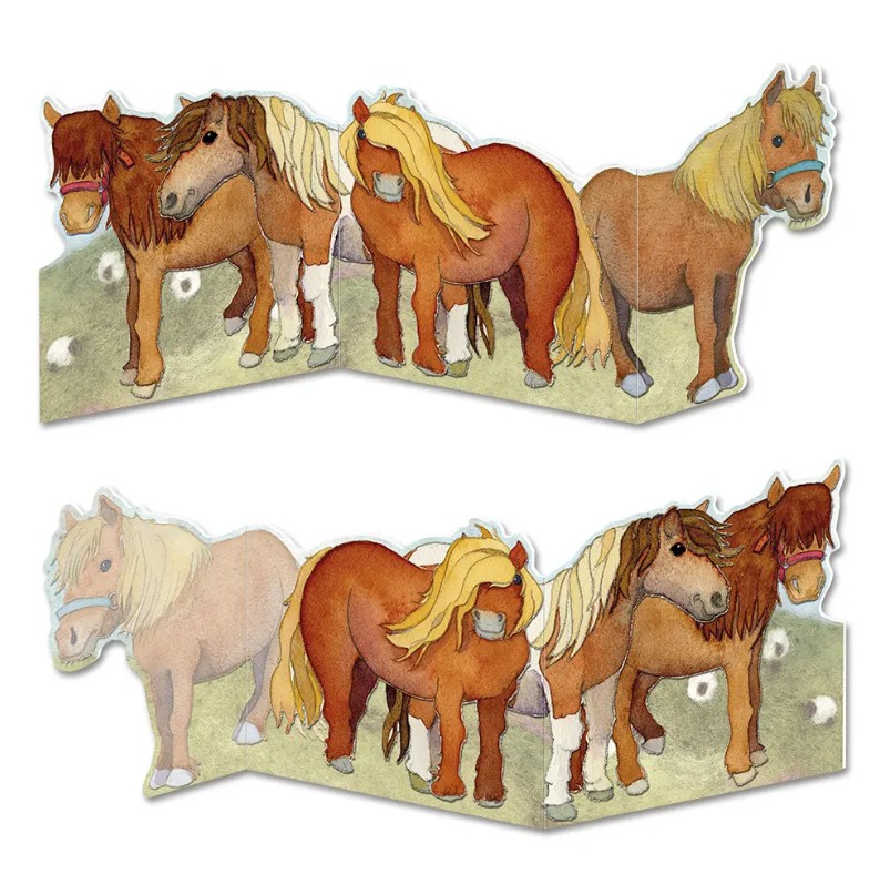 DEB12 Shetland Ponies