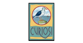 Curiosi Picoli puzzel Zeemeeuw