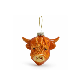 Schotse Hooglander Kopje / Highland Cow face