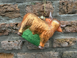 Schotse Hooglander Coo