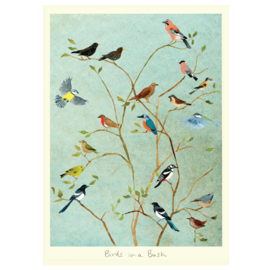 ID43 Birds in a Bush