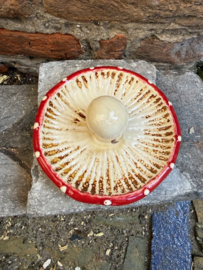 Paddenstoel schaaltje