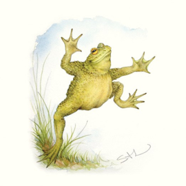 Leaping Toad