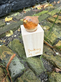 Thinking of you, Roodborstje op hout