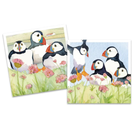 Mini cardpack Seathrift Puffins