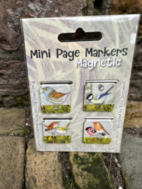 Set van 4 magnetische boekenleggers Britse Vogels