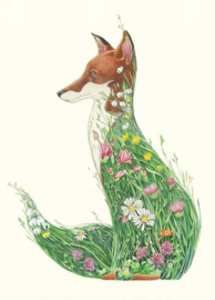 E079 Fox in a Meadow