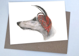 The Lady Greyhound