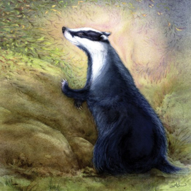 Badger