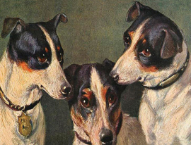 VT19 Three little dogs
