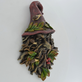 Tree Ent Radagust Wizard