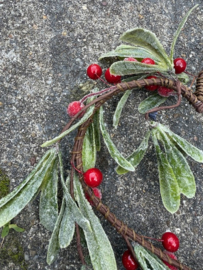 Kerstkrans Hartenvorm Mistletoe met rode besjes