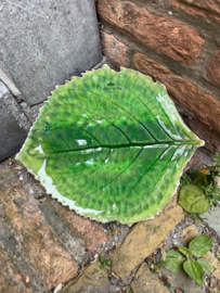 Schotel Hortensia blad
