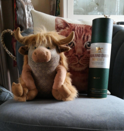 Highland Coo