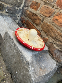 Paddenstoel schaaltje