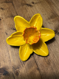 Narcis voederbakje/drinkbakje