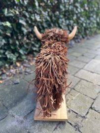 Schotse Hooglander