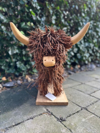 Schotse Hooglander