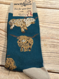 Soctopus Och Aye the Moo sokken Donkergroen 43-46