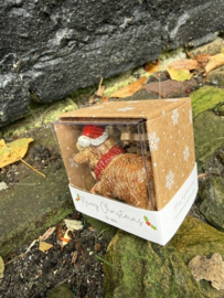 Miniatuur Schotse Coo in doosje