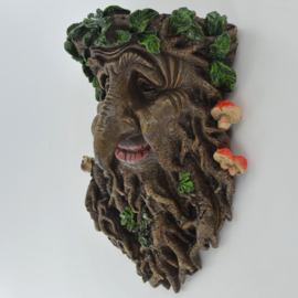 Treebeard