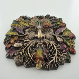 Green man Quercus