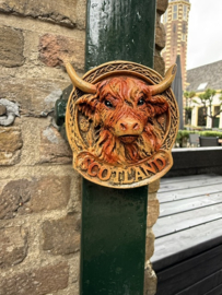 Magneet Schotse Coo amulet