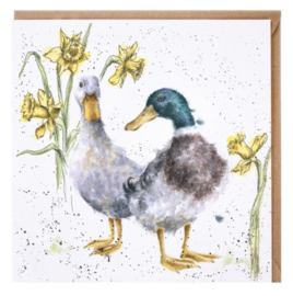 CS102 Ducks and Daffs