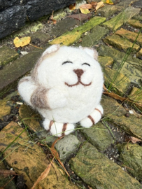 Zittende Streepjes Poes