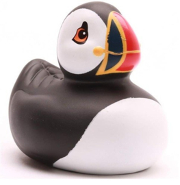 "Badeend" Puffin / Papegaaiduiker