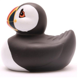 "Badeend" Puffin / Papegaaiduiker