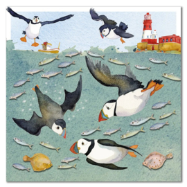 Puffins op zee