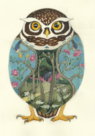 E015 Little Owl