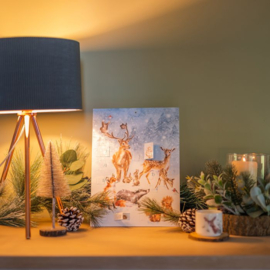Adventkalender A Winter wonderland