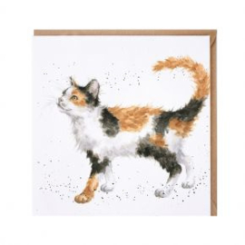 CS161 Calico Cat