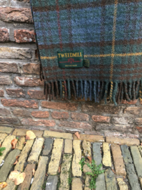 Plaid: Antique Hunting Stewart