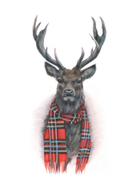 Winter in the Glen