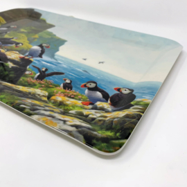 Dienblad Broedende Puffins / Papegaaiduikers