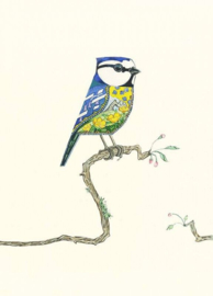 E047 Bluetit