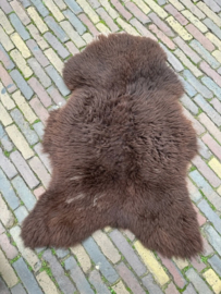 SBH1 Herdwick donkerbruin