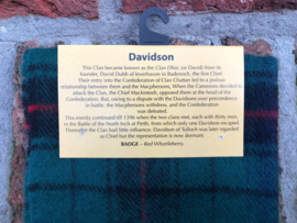 Lamswollen das Davidson Modern ruit