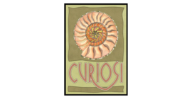 Curiosi Picoli Puzzle Nautilus