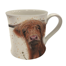Schotse Hooglander beker