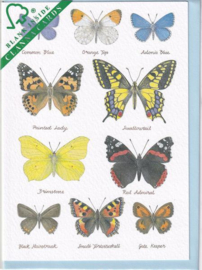 Kaart CC224 Butterflies