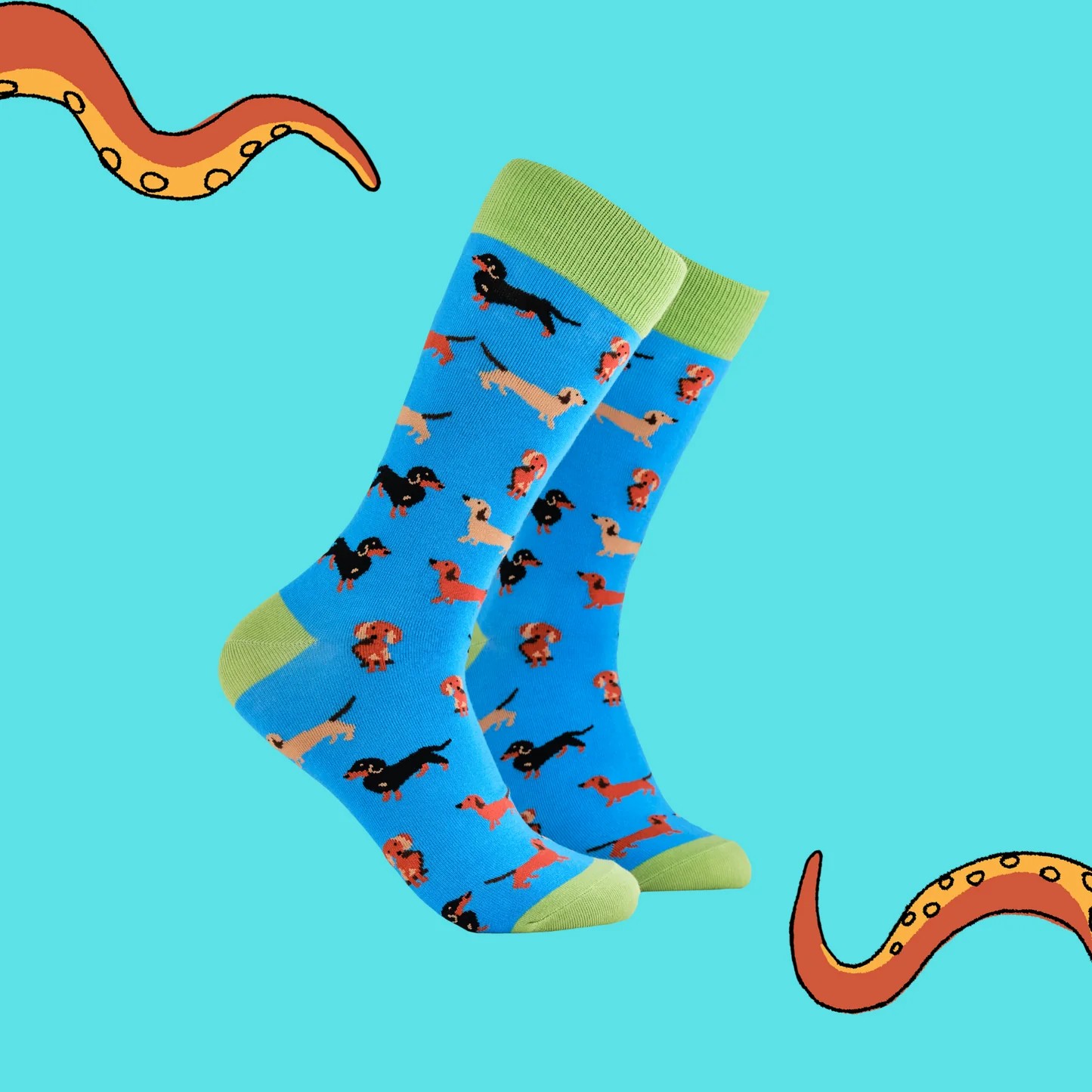 Soctopus sokken TECKELS Life 43-46 Groen/Blauw