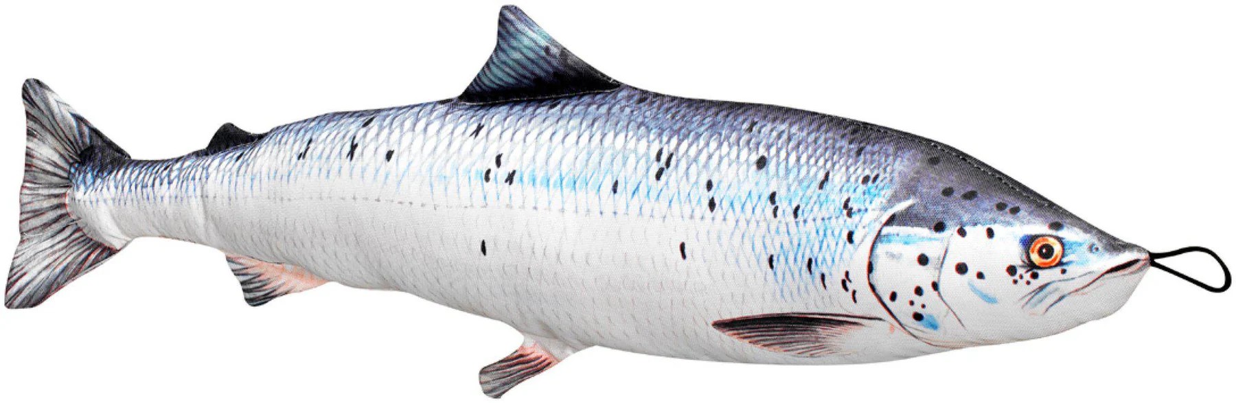 Zwalm de Zalm vissen kussen