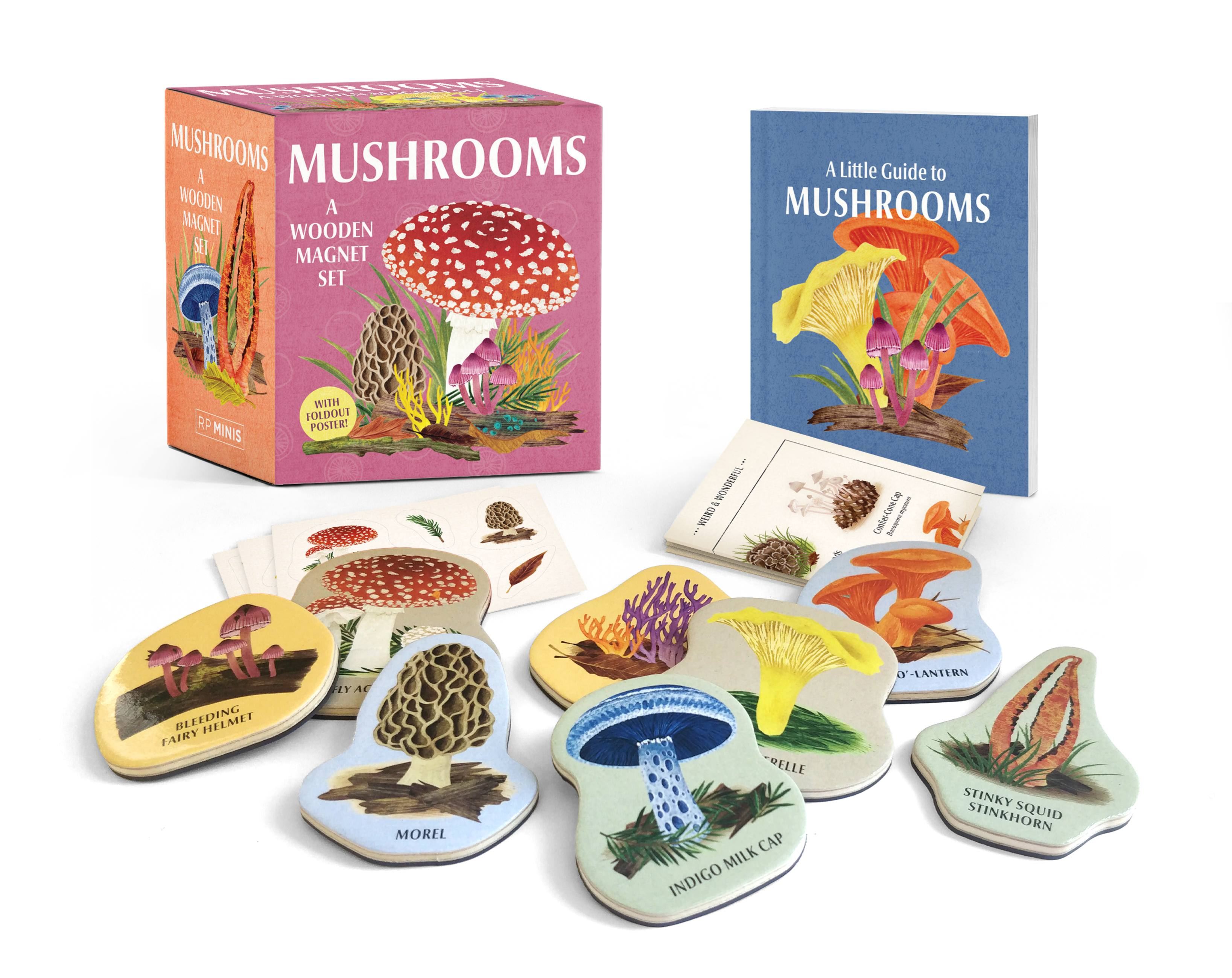 Paddenstoelen magneetjes van hout